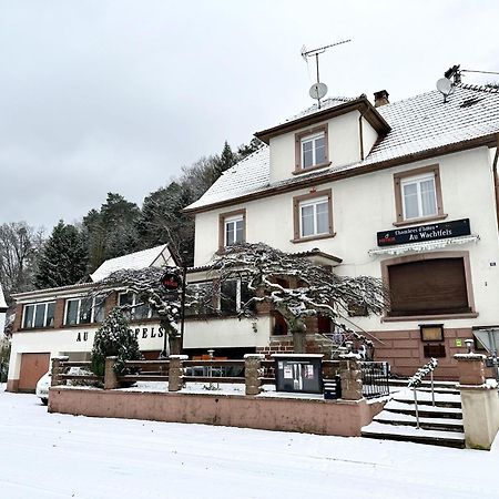 Au Wachtfels Bed and Breakfast Obersteinbach Εξωτερικό φωτογραφία