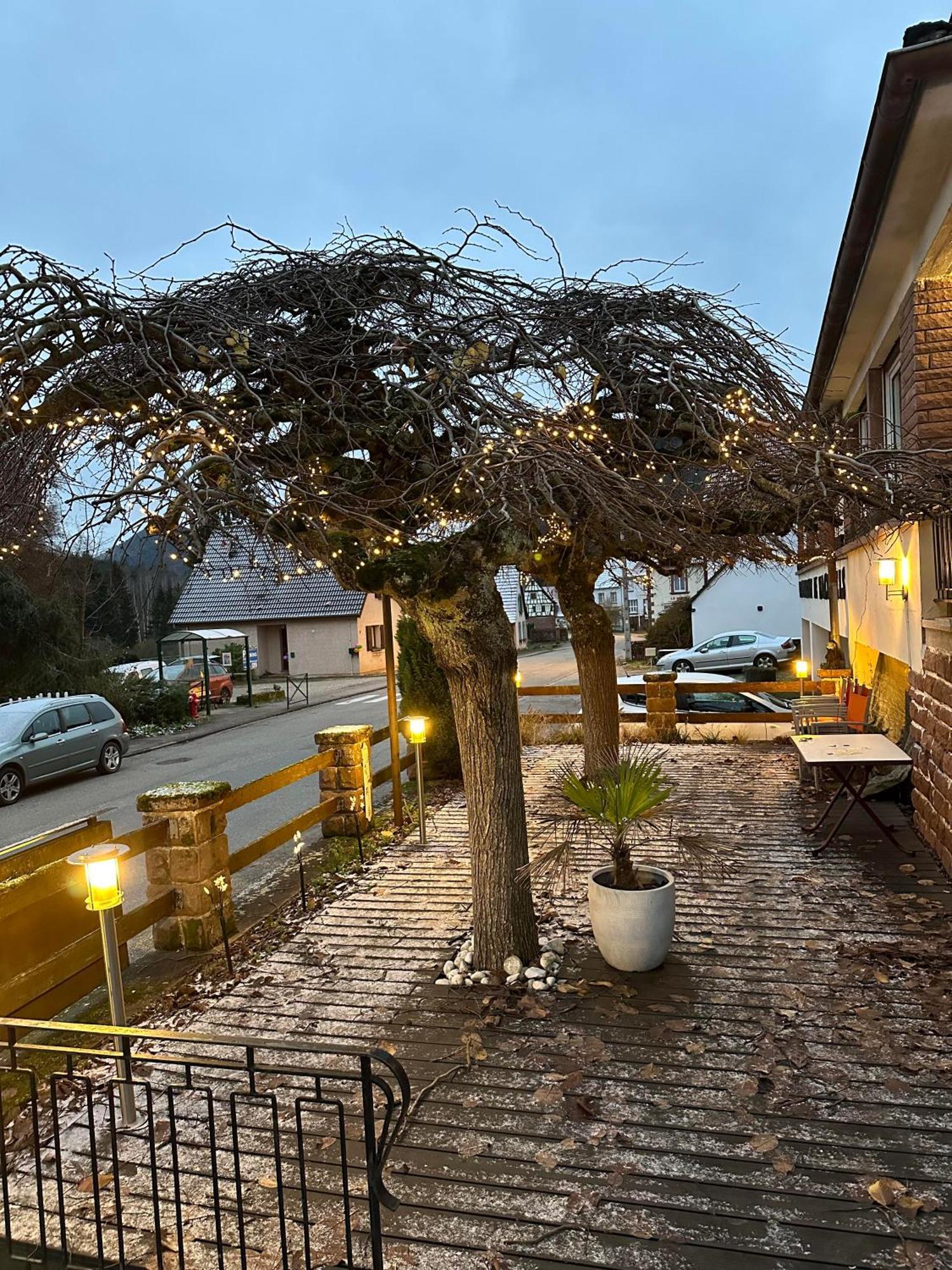 Au Wachtfels Bed and Breakfast Obersteinbach Εξωτερικό φωτογραφία